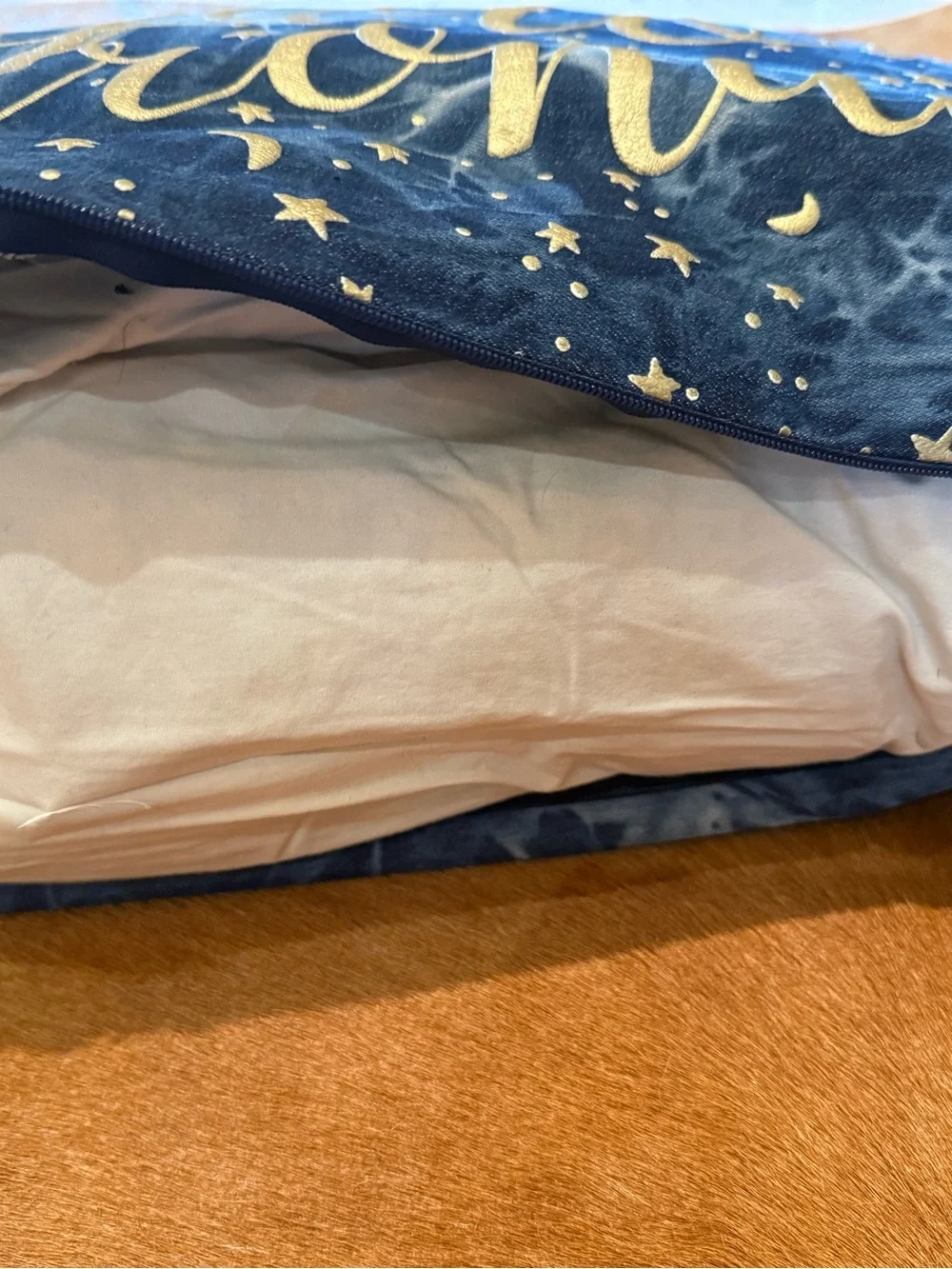 Pottery Barn Teen pb HARRY POTTER™ Expecto Patronum Blue Pillow Hedwig owl